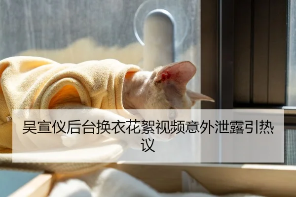 吴宣仪后台换衣花絮视频意外泄露引热议