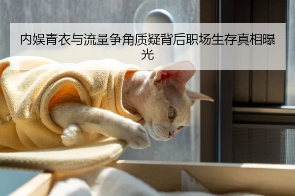 内娱青衣与流量争角质疑背后职场生存真相曝光